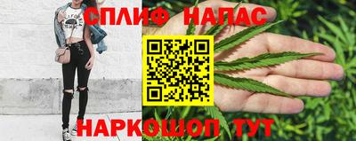 гашик Кинель